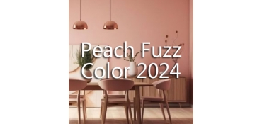 PEACH FUZZ. EL COLOR DEL 2024