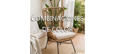 COMBINACIONES DE COLOR QUE TRANSMITEN PROFESIONALIDAD